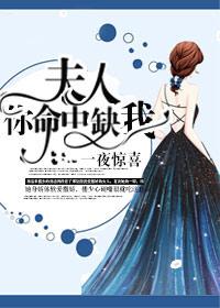 一夜惊喜:夫人,你命中缺我