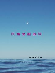 陈情之偷心贼