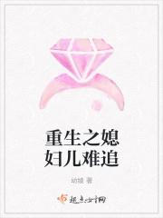 重生之媳妇儿难追