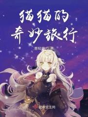 猫猫的奇妙旅行
