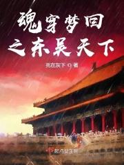 魂穿梦回之东吴天下