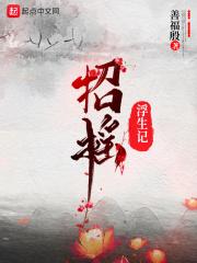 招摇浮生记