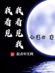 我看见我看见我