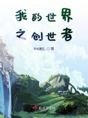 我的世界之星野