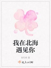 我在北海遇见你