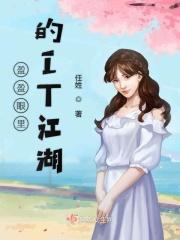 盈盈眼里的IT江湖