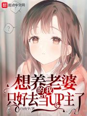 想养老婆的我只好去当UP主了