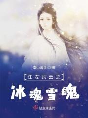 江左风云之冰魂雪魄