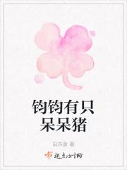 钧钧有只呆呆猪