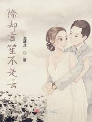 除却言笙不是云