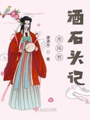 青梅煮酒石头记