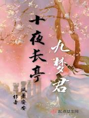 十夜长亭九梦君