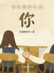 恰似那年认识你