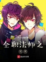 全职法师之低调