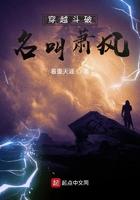 穿越斗破名叫萧风