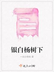银白杨树下
