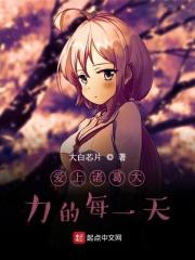 爱上诸葛大力的每一天