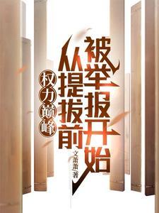 权力巅峰:从提拔前被举报开始